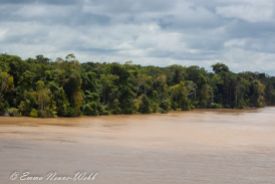 M-1857 Amazon River 25012019-2053